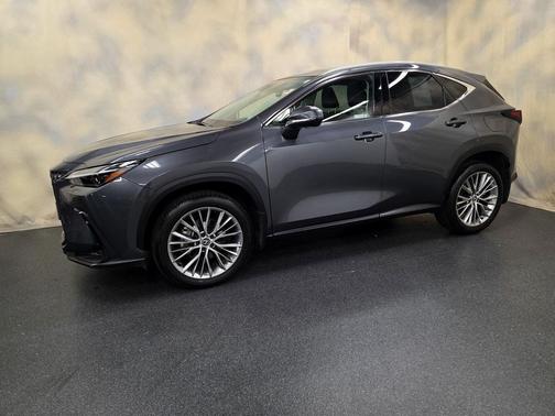 2024 Lexus NX 350 Luxury