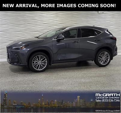 2024 Lexus NX 350 Luxury