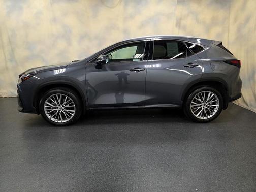 2024 Lexus NX 350 Luxury