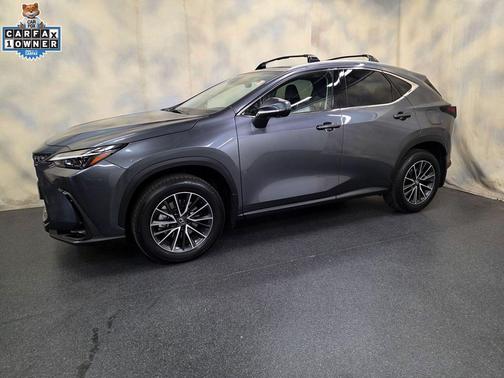 Cloudburst Gray 2025 Lexus NX 350h Premium