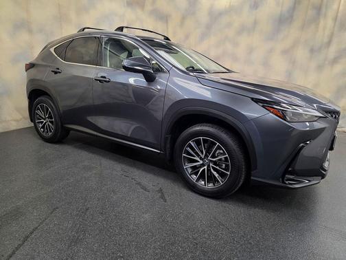 Cloudburst Gray 2025 Lexus NX 350h Premium