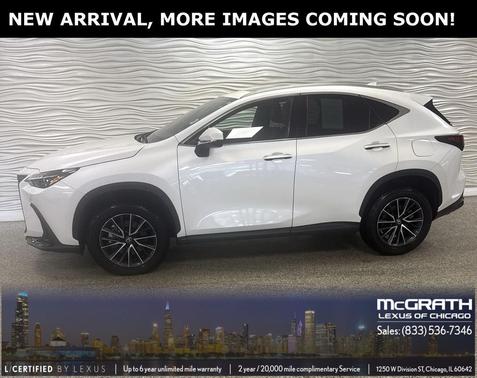 2025 Lexus NX 250 Base