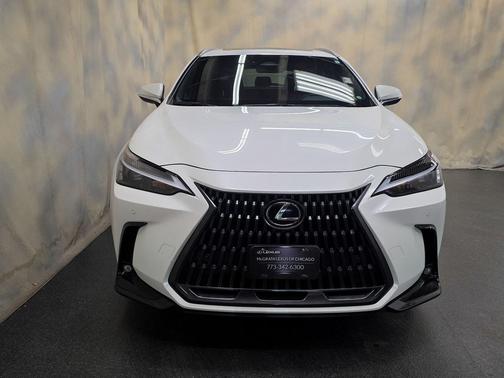 2025 Lexus NX 250 Base