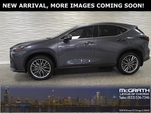 2024 Lexus NX 350h Luxury