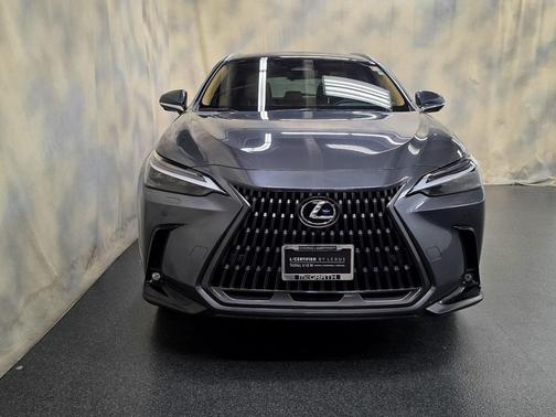 2024 Lexus NX 350h Luxury