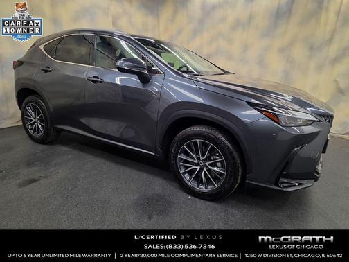 Cloudburst Gray 2025 Lexus NX 350 350