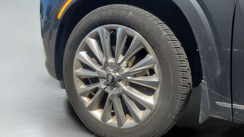 Rainforest 2020 Hyundai PALISADE Limited