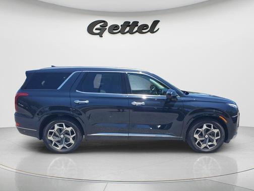 Moonlight 2021 Hyundai PALISADE Calligraphy