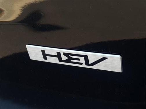 2025 Kia Carnival Hybrid SX