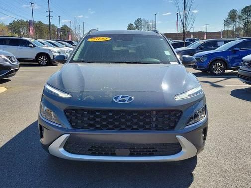 Cactus Fern 2022 Hyundai KONA Limited