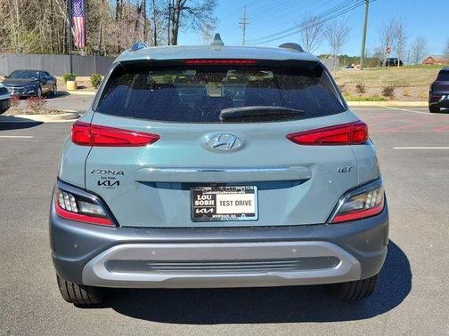 Cactus Fern 2022 Hyundai KONA Limited