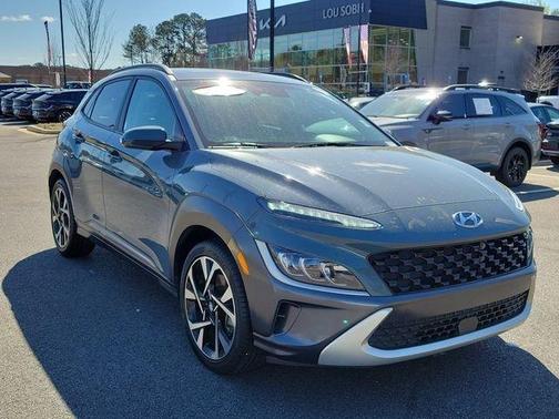 Cactus Fern 2022 Hyundai KONA Limited