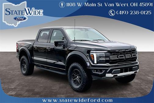 Agate Black Metallic 2025 Ford F-150 Raptor Truck