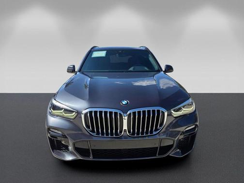 Arctic Gray Metallic 2019 BMW X5 xDrive40i