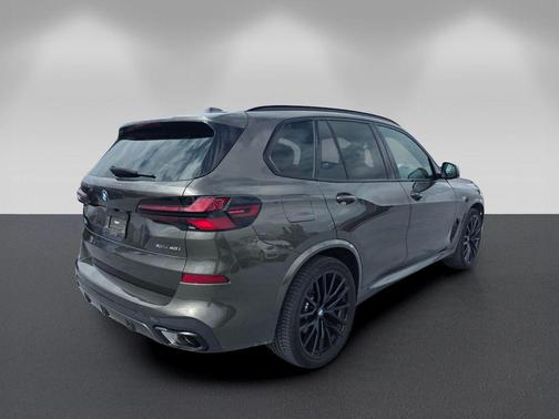 Manhattan Green Metallic 2024 BMW X5 xDrive40i