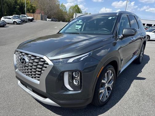 Rainforest 2022 Hyundai PALISADE SEL
