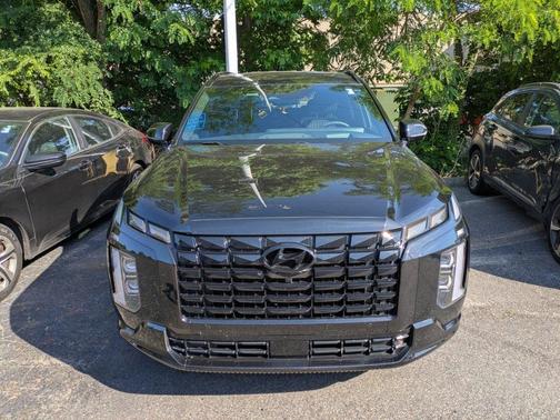 Abyss Black Pearl 2024 Hyundai PALISADE Calligraphy Night Edition