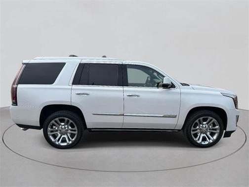 2017 Cadillac Escalade Platinum