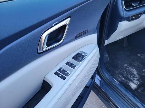 Panthera Metal 2026 Kia Carnival EX