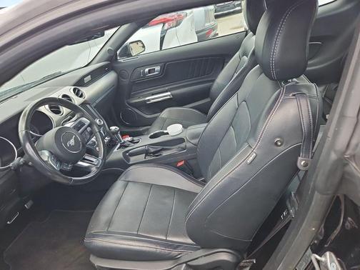 Shadow Black 2019 Ford Mustang GT Premium