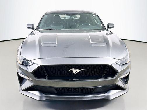 Magnetic Metallic 2019 Ford Mustang GT Premium