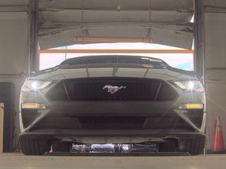 Magnetic Metallic 2019 Ford Mustang GT Premium