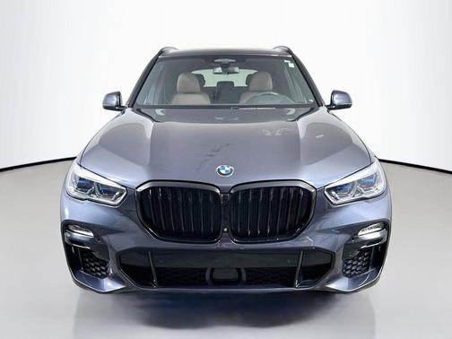 Arctic Gray Metallic 2020 BMW X5 M50i