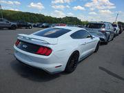 Oxford White 2019 Ford Mustang GT Premium