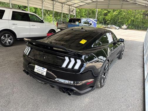Shadow Black 2019 Ford Mustang GT Premium