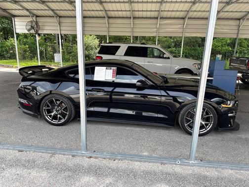 Shadow Black 2019 Ford Mustang GT Premium