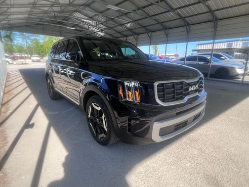 Panthera Metal 2025 Kia Telluride S