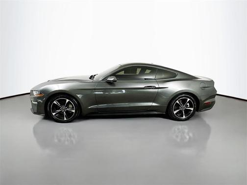 Magnetic 2020 Ford Mustang EcoBoost