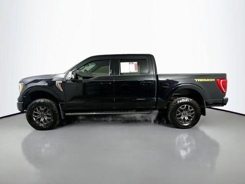 Agate Black Metallic 2023 Ford F-150 Tremor