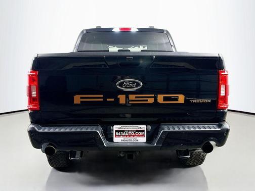 Agate Black Metallic 2023 Ford F-150 Tremor