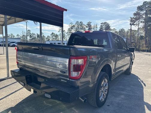 2021 Ford F-150 Platinum