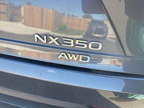 Cloudburst Gray 2023 Lexus NX 350 Premium