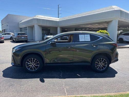 Nori Green Pearl 2024 Lexus NX 350 Premium