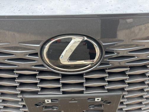 2025 Lexus RX 350 