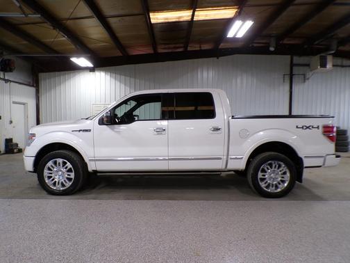 2013 Ford F-150 Platinum