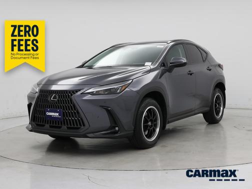Silver 2025 Lexus NX 250