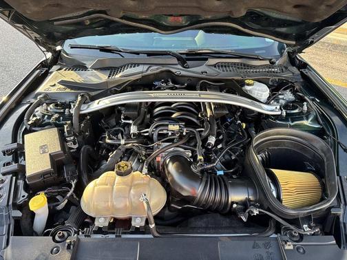 Dark Highland Green 2019 Ford Mustang Bullitt