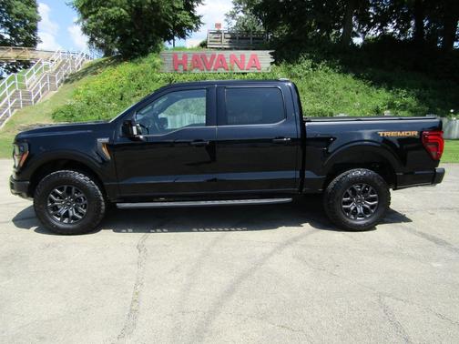 Agate Black Metallic 2025 Ford F-150 Tremor