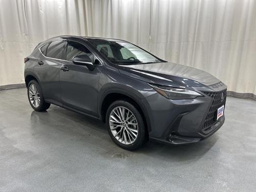 2023 Lexus NX 350 Luxury