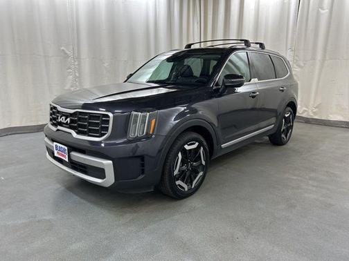 Panthera Metal 2025 Kia Telluride S