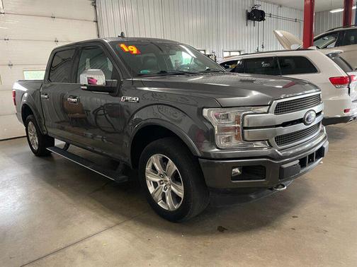 Magnetic 2019 Ford F-150 Platinum