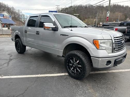 2011 Ford F-150 Platinum