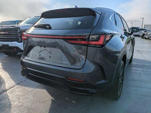 2024 Lexus NX 250 Premium