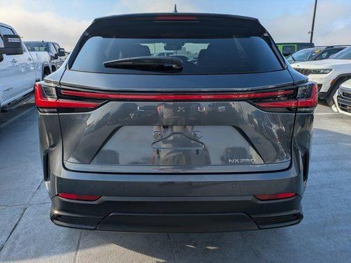 2024 Lexus NX 250 Premium