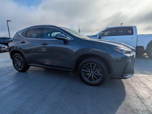 2024 Lexus NX 250 Premium