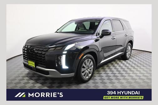 Moonlight 2023 Hyundai PALISADE SE